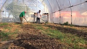 Landmark Urban Farm