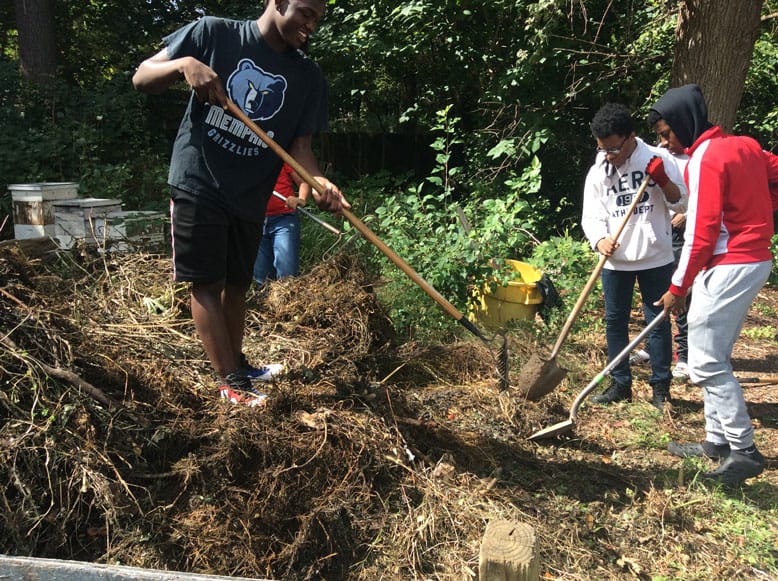 Kids Working at Farm