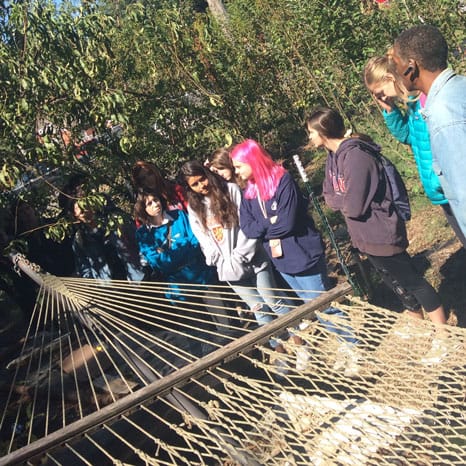 Kids putting up a hammock